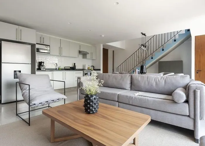Charming 2br In Roma Norte